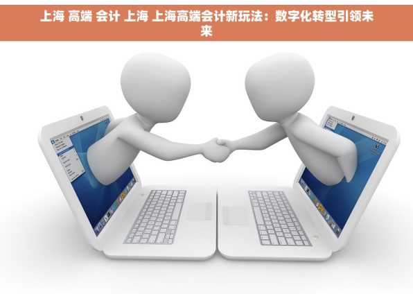 上海 高端 会计 上海 上海高端会计新玩法：数字化转型引领未来