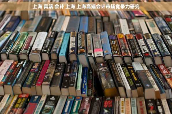 上海 高端 会计 上海 上海高端会计市场竞争力研究