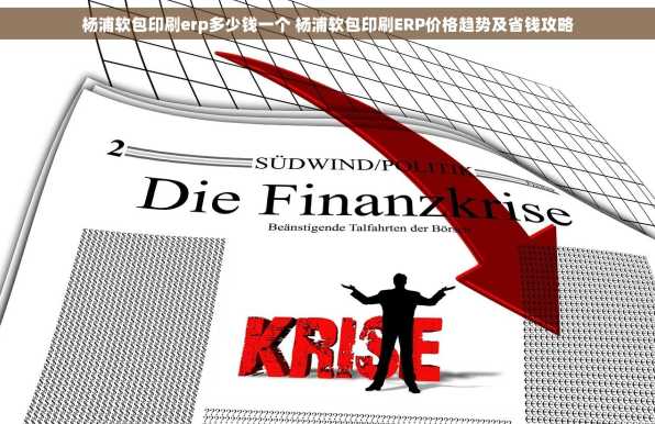 杨浦软包印刷erp多少钱一个 杨浦软包印刷ERP价格趋势及省钱攻略