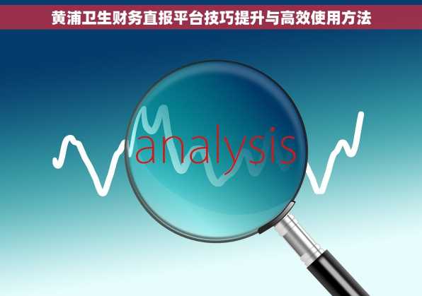 黄浦卫生财务直报平台技巧提升与高效使用方法