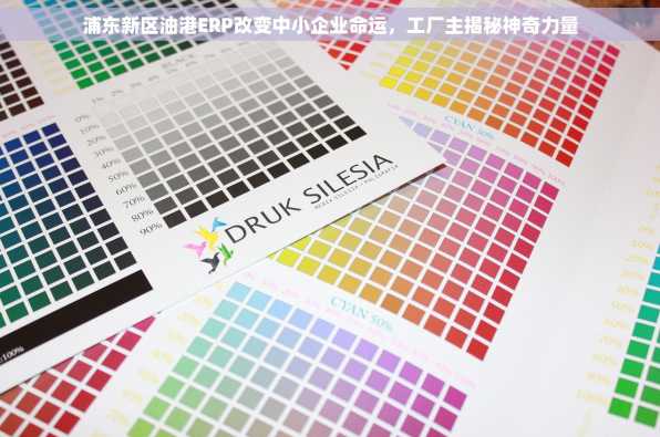 浦东新区油港ERP改变中小企业命运，工厂主揭秘神奇力量