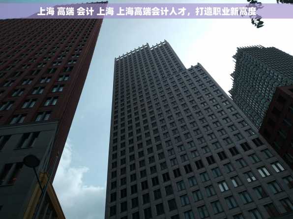 上海 高端 会计 上海 上海高端会计人才，打造职业新高度
