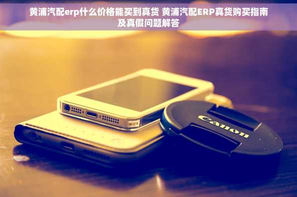 黄浦汽配erp什么价格能买到真货 黄浦汽配ERP真货购买指南及真假问题解答