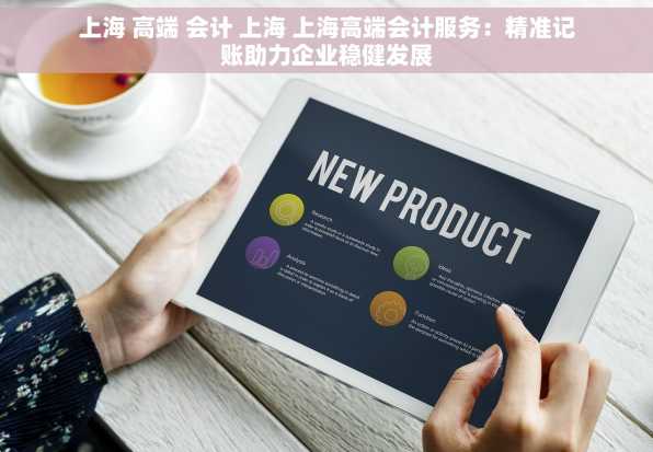 上海 高端 会计 上海 上海高端会计服务：精准记账助力企业稳健发展