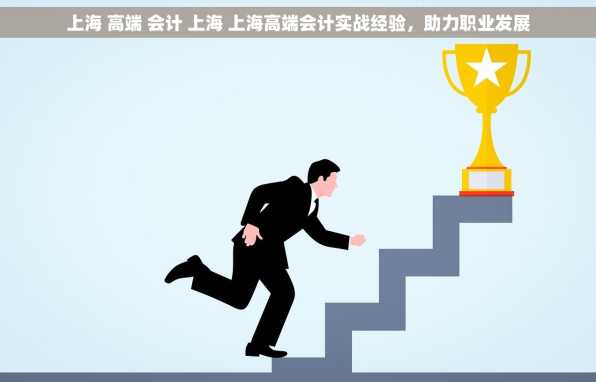 上海 高端 会计 上海 上海高端会计实战经验，助力职业发展