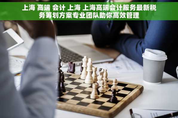上海 高端 会计 上海 上海高端会计服务最新税务筹划方案专业团队助你高效管理