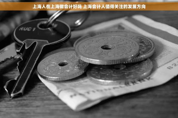 上海人在上海做会计好吗 上海会计人值得关注的发展方向