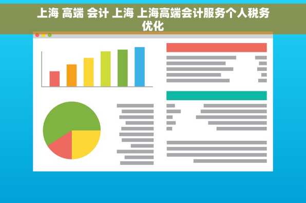 上海 高端 会计 上海 上海高端会计服务个人税务优化