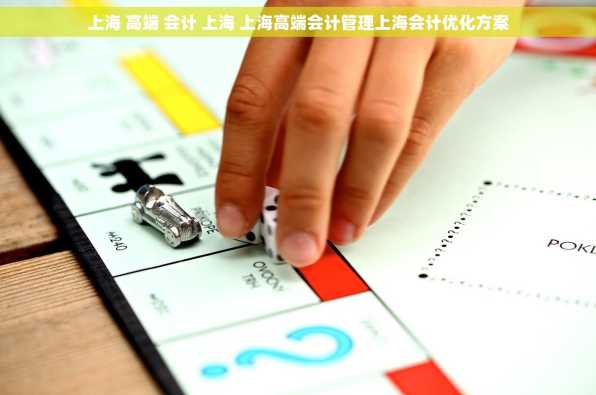 上海 高端 会计 上海 上海高端会计管理上海会计优化方案