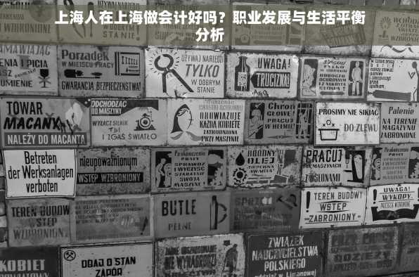 上海人在上海做会计好吗？职业发展与生活平衡分析