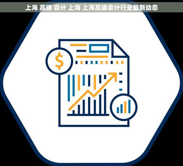 上海 高端 会计 上海 上海高端会计行业最新动态