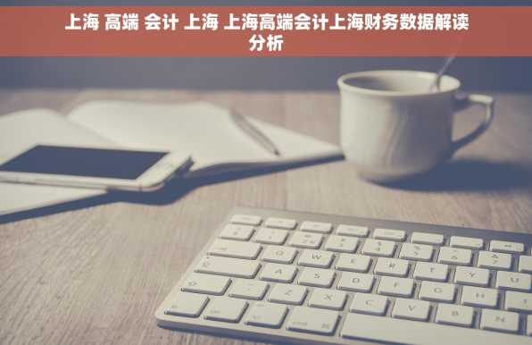 上海 高端 会计 上海 上海高端会计上海财务数据解读分析