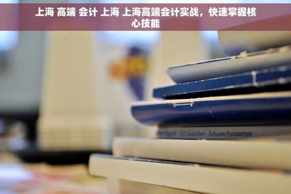上海 高端 会计 上海 上海高端会计实战，快速掌握核心技能