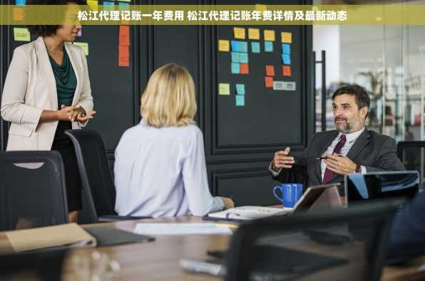 松江代理记账一年费用 松江代理记账年费详情及最新动态
