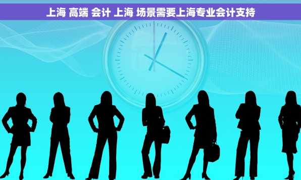 上海 高端 会计 上海 场景需要上海专业会计支持
