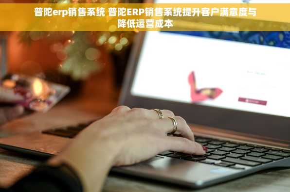 普陀erp销售系统 普陀ERP销售系统提升客户满意度与降低运营成本