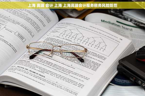 上海 高端 会计 上海 上海高端会计服务税务风险防范