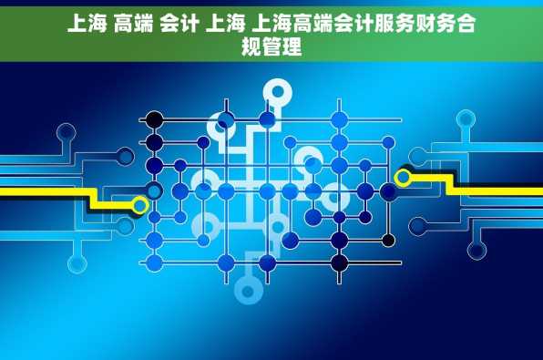上海 高端 会计 上海 上海高端会计服务财务合规管理