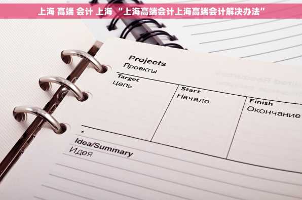 上海 高端 会计 上海 “上海高端会计上海高端会计解决办法”