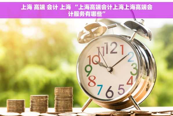 上海 高端 会计 上海 “上海高端会计上海上海高端会计服务有哪些”