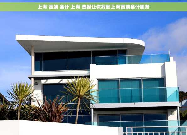 上海 高端 会计 上海 选择让你找到上海高端会计服务