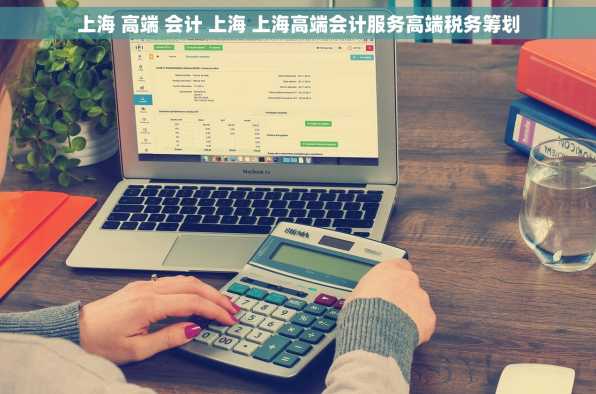 上海 高端 会计 上海 上海高端会计服务高端税务筹划
