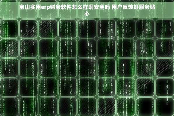 宝山实用erp财务软件怎么样啊安全吗 用户反馈好服务贴心