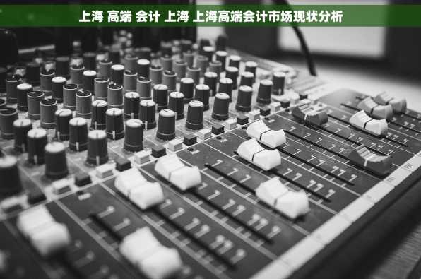 上海 高端 会计 上海 上海高端会计市场现状分析