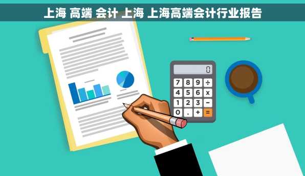 上海 高端 会计 上海 上海高端会计行业报告