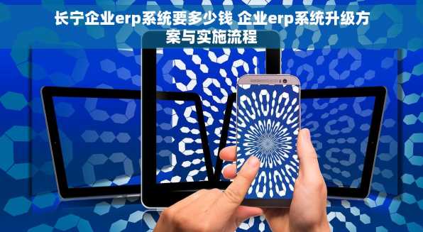 长宁企业erp系统要多少钱 企业erp系统升级方案与实施流程