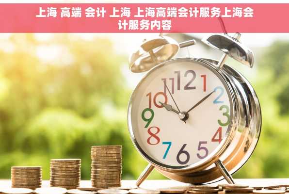 上海 高端 会计 上海 上海高端会计服务上海会计服务内容