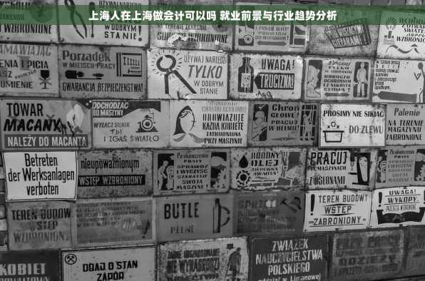 上海人在上海做会计可以吗 就业前景与行业趋势分析