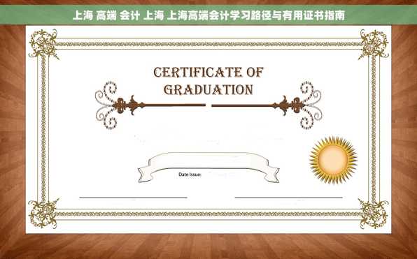 上海 高端 会计 上海 上海高端会计学习路径与有用证书指南