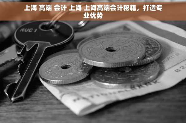上海 高端 会计 上海 上海高端会计秘籍，打造专业优势