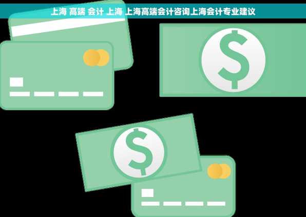 上海 高端 会计 上海 上海高端会计咨询上海会计专业建议