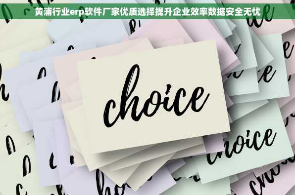 黄浦行业erp软件厂家优质选择提升企业效率数据安全无忧