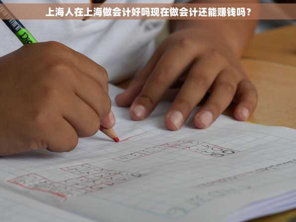 上海人在上海做会计好吗现在做会计还能赚钱吗？