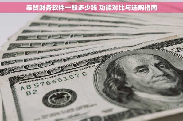 奉贤财务软件一般多少钱 功能对比与选购指南
