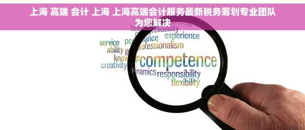 上海 高端 会计 上海 上海高端会计服务最新税务筹划专业团队为您解决