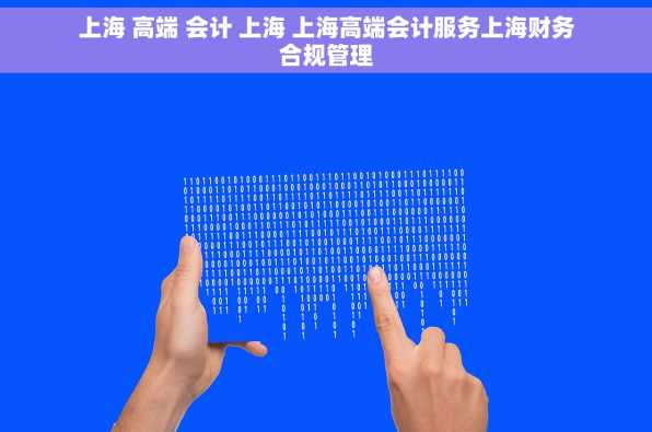 上海 高端 会计 上海 上海高端会计服务上海财务合规管理