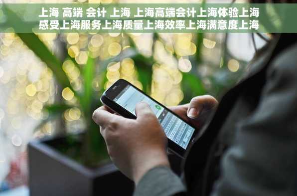 上海 高端 会计 上海 上海高端会计上海体验上海感受上海服务上海质量上海效率上海满意度上海评价上海反馈上海口碑