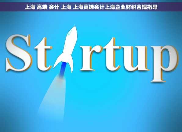 上海 高端 会计 上海 上海高端会计上海企业财税合规指导