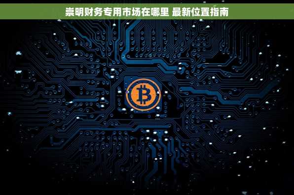 崇明财务专用市场在哪里 最新位置指南