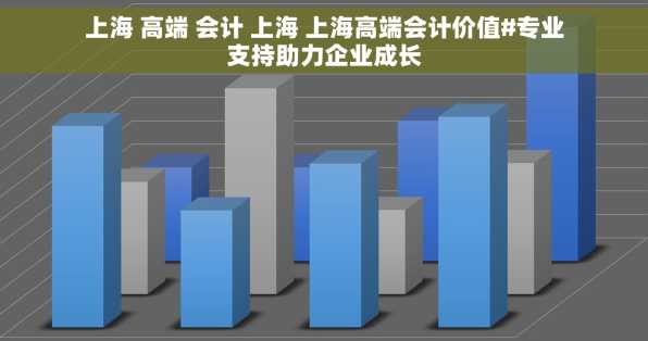 上海 高端 会计 上海 上海高端会计价值#专业支持助力企业成长