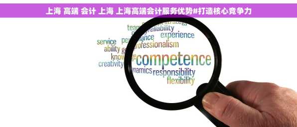 上海 高端 会计 上海 上海高端会计服务优势#打造核心竞争力