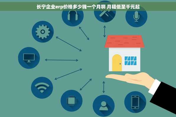 长宁企业erp价格多少钱一个月啊 月租低至千元起