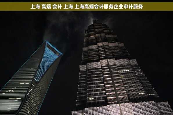 上海 高端 会计 上海 上海高端会计服务企业审计服务