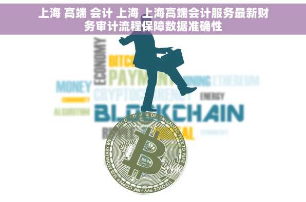 上海 高端 会计 上海 上海高端会计服务最新财务审计流程保障数据准确性