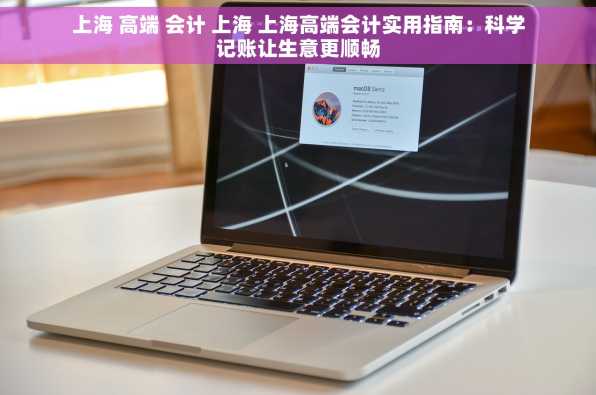 上海 高端 会计 上海 上海高端会计实用指南：科学记账让生意更顺畅