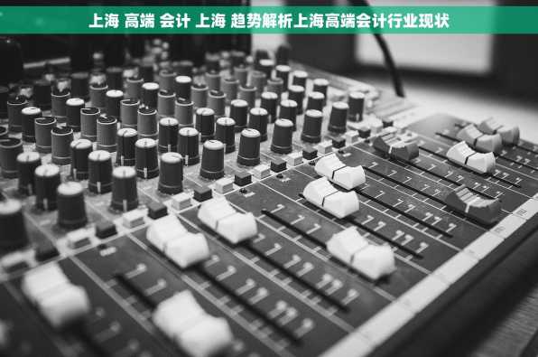 上海 高端 会计 上海 趋势解析上海高端会计行业现状